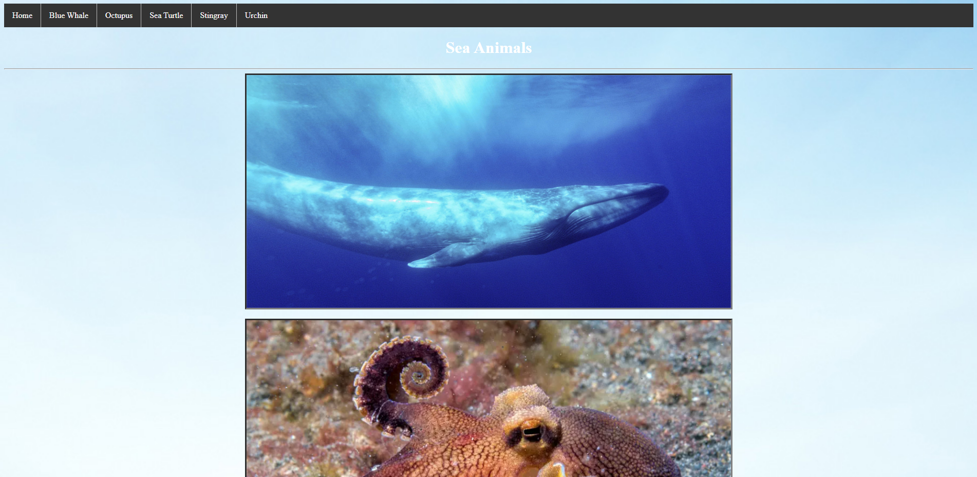 Click on the image to see the full website! (Year #1)